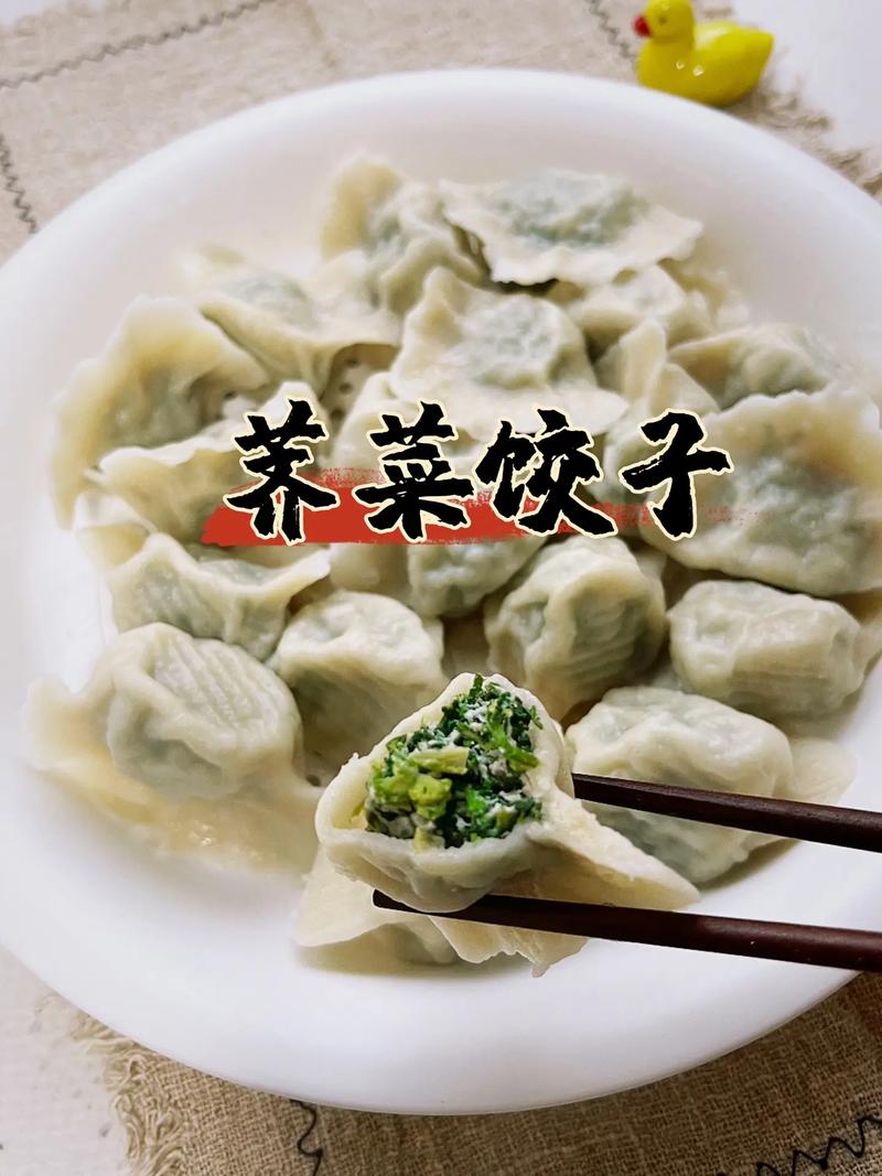 荠荠菜猪肉饺子馅做法大全_荠菜猪肉饺子，暖心暖胃营养好