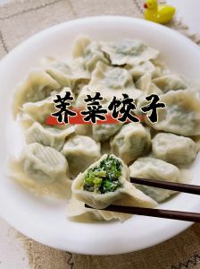 荠荠菜猪肉饺子馅做法大全_荠菜猪肉饺子，暖心暖胃营养好