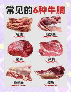 牛腩中崩沙腩和坑腩的区别_牛腩部位口感不同，烹饪方式各异