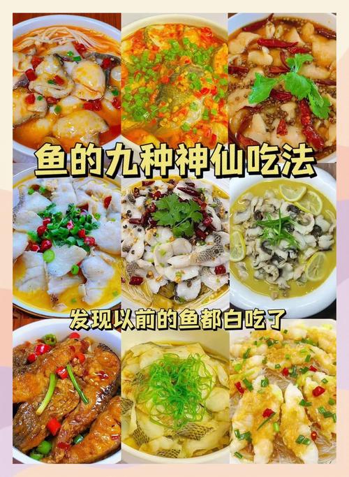 家常鱼做法大全家常_家常红烧鱼块多做法，香脆清新麻辣任你选
