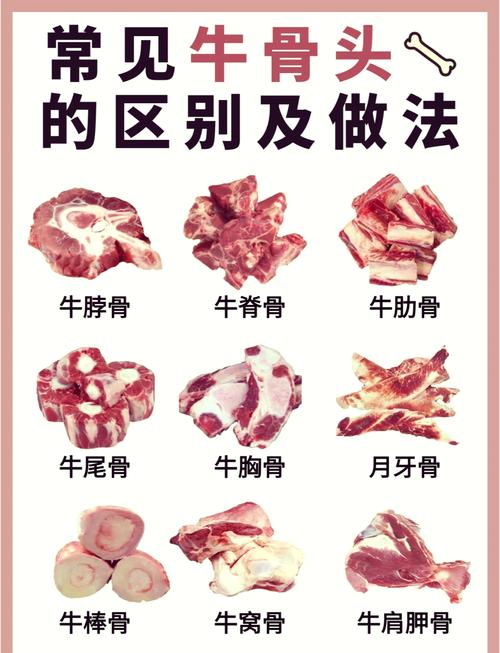 牛骨头部位名称图_秋冬炖汤酱制炭烤全攻略