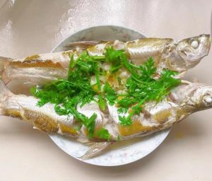 大白条鱼的做法大全_鲜嫩美味，老少皆宜！