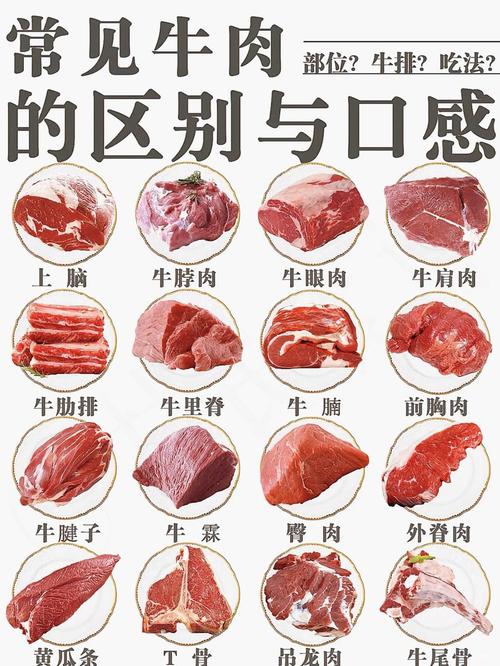 牛腩和牛腱子有什么区别_口感风味大不同 牛腩和牛腱子有什么区别_口感风味大不同