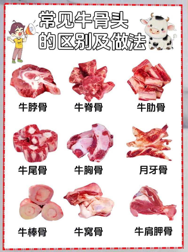 牛骨头部位名称图_秋冬炖汤酱制炭烤全攻略