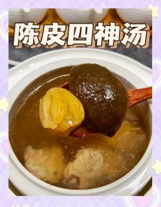 陈皮炖汤的做法大全_陈皮炖汤好搭档，全家老少都适宜！