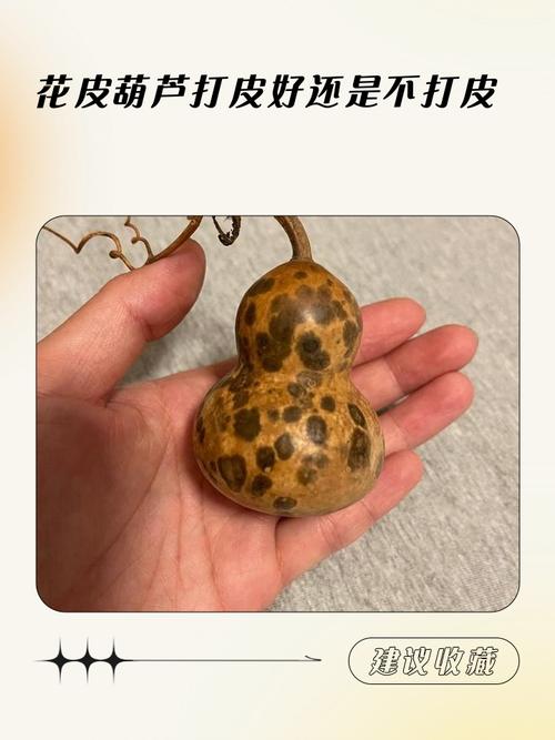 葫芦不去皮直接晾干会怎样_葫芦晾干不去皮易发霉，刮皮防霉保质