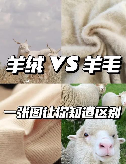 怎样区分羊绒和羊毛_羊绒软暖光泽，羊毛稍糙光亮