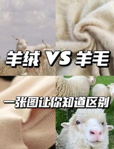 怎样区分羊绒和羊毛_羊绒软暖光泽，羊毛稍糙光亮