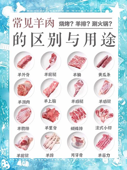 羊肉串用哪个部位的肉_后腿肋条肩肉腱子胸口各不同