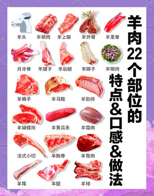 羊内脏部位分布图_羊胃分四室助消化,肠道分工明,肝脾肾等助平衡 羊内脏部位分布图_羊胃分四室助消化,肠道分工明,肝脾肾等助平衡