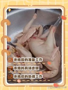 鸡肠子的处理方法_去脂盐醋洗料酒泡焯水冷水紧实