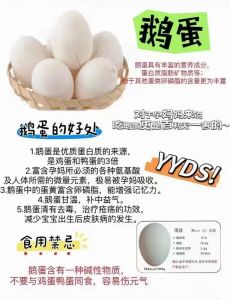 鹅蛋出壳后怎样养护_小鹅刚出壳养护全攻略