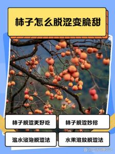 怎样让柿子不涩又脆_揽柿子去涩变甜，脆甜美味做法分享！