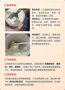 变质酸奶会有什么特征_浑浊异味要丢弃
