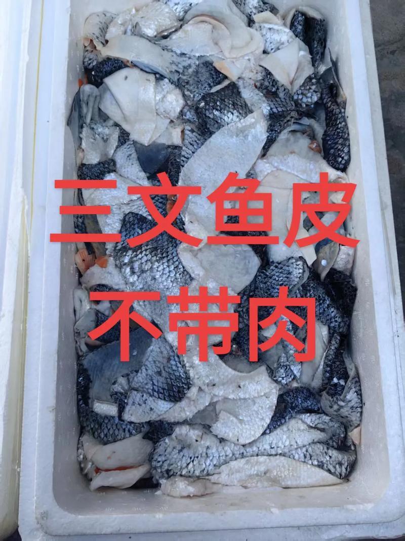三文鱼鱼皮怎么去鳞图解_鱼尾开始，刀片紧贴向上划，别伤肉，冲洗干净