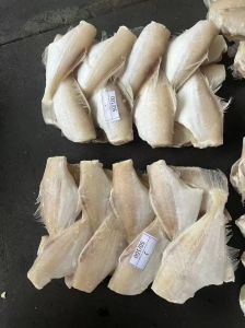 耗儿鱼属于深海鱼吗_近海美味，鲜嫩低脂