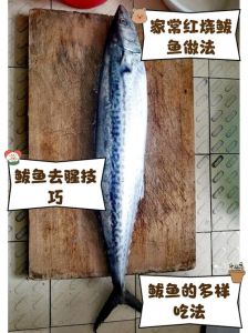 最简单炖鲅鱼的做法_红烧清蒸香煎，团圆美味！