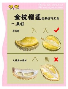 榴莲的10个简单做法_榴莲妙吃法，尽享甜蜜负担！
