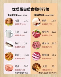 鱼肉蛋白质比例_鱼肉高蛋白，湖北肉圆子鲜营养