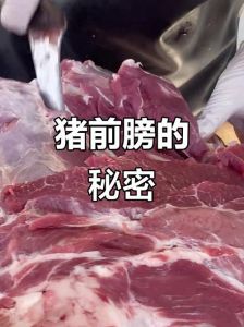 前膀肉是哪个部位图_梅里里脊五花，坐臀弹子前腿后腿各不同