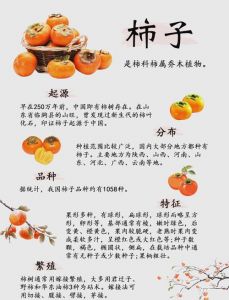 柿子怎样脱涩成脆柿子_柿子去涩方法多，温水酒精放水果，冷冻石灰都可行