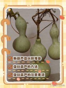 刚摘下来的青葫芦怎么处理_苏打水清洗阴干，变黄塑形，蜂蜡保养成文玩