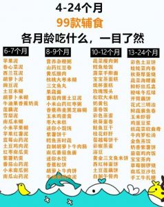 宝宝乖一点：陆清淮裴月营养搭配的健康辅食做法分享