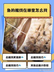 鱼脱骨的正确方法图解_秋刀鱼鲫鱼草鱼轻松去骨