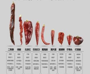 青椒和辣椒的区别_青椒不辣因辣椒素少，色彩口感不同，皆营养美味