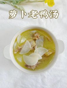 正宗老鸭汤的做法_广东炖煮三放三不放