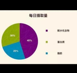 碳水蛋白质脂肪比例_碳水蛋白脂肪要均衡