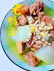 水鸭煲冬瓜的做法大全_冬瓜水鸭汤，清亮醇美，顺时令