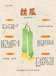 海南丝瓜有什么区别_翠绿王长香夏绿1号，适应强口感好