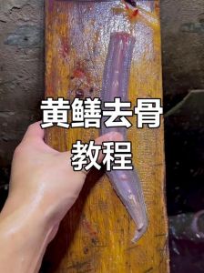 鳝鱼如何去骨图解_烫死鳝鱼去骨，薄刀片细心剔除，净肉做法分享