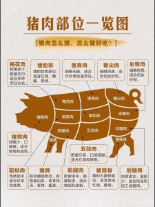 边猪的6个位置图解_边肉猪颈肉猪颊肉里脊肉前排肉扇骨五花肉猪蹄，各具特色，烹饪多样