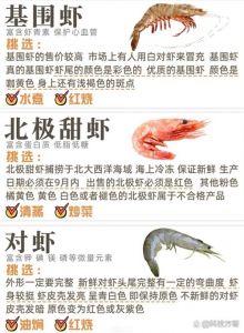 生虾和熟虾哪个好保存_冷冻虾保质期多久？生熟区别大！