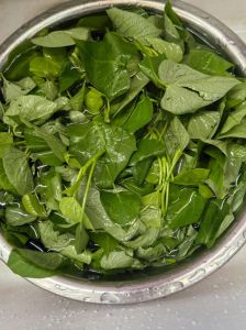 地瓜叶蒸几分钟能熟_火候与时间关键