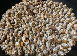 花螺多少分钟熟_蒸花螺5-10分钟，白灼3-4分钟，注意时间看大小和新鲜度