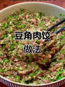 长豆角饺子馅的做法大全_酸豆角肉馅做法，清爽不腻，鲜香可口！