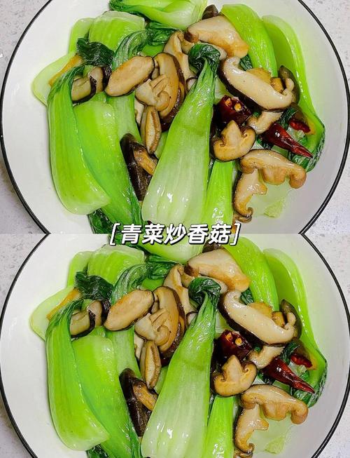 炒蔬菜的做法大全图解_5道简单美味的下饭菜 炒蔬菜的做法大全图解_5道简单美味的下饭菜