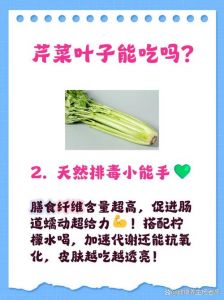 芹菜焯水10分钟能熟吗_芹菜焯水时间因形而异，整根12-15分钟，切段8-10分钟，丝状5-6分钟