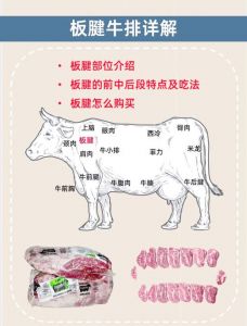 牛肉最嫩的部位叫什么_里脊菲力，眼肉嫩肩肉也适合