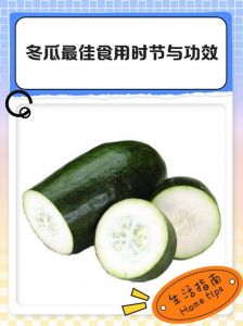 冬瓜成熟哪个季节的_冬瓜
