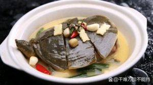 清蒸甲鱼为什么肉质老_选对材巧处理火候足，清蒸甲鱼才嫩滑