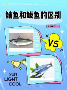 鲅鱼和鲐鲅鱼的区别_鲅鱼好，鲐鲅差，牢记区分法！