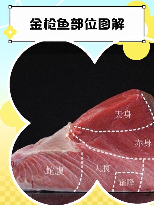 蓝鳍金枪鱼中腹大腹啥区别_蓝鳍金枪鱼中腹和大腹怎么选？