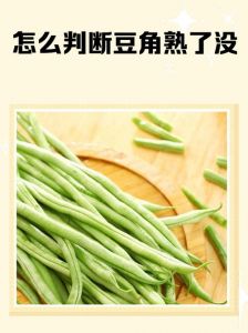 如何判断豆角熟没熟_豆角熟了怎么判断？