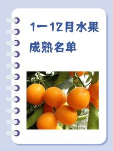 1一12月水果成熟名单_四季水果各不同，尝鲜正当时！