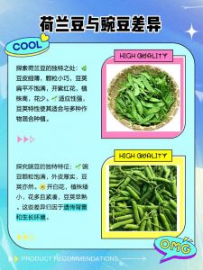扁豆和荷兰豆的区别图_样子像但差别大
