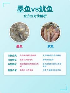 墨鱼跟鱿鱼有什么区别_鱿鱼墨鱼有啥区别？